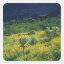 Search for organization stickers Yellow