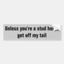 Search for stud horse Rodeo