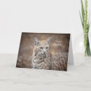 Search for preservation cards Wildlife