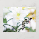 Search for scripture quote postcards Religious prayer blessing