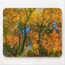 Search for japanese maple mousepads Fall