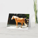 Search for coated cards Animals