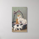 Search for kittens in basket posters Animal