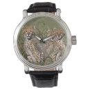 Search for predator watches Nature