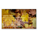 Search for autumn leaves business cards Leaf