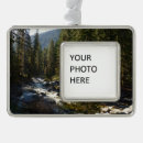 Search for sequoia national park christmas tree decorations Landscape