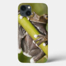 Search for frogs ipad cases South america