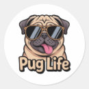 Search for gi stickers Pug