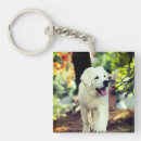 Search for small dogs key rings Nature
