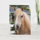 Search for funny horse birthday cards Ranch