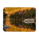 Search for pond reflection magnets Forest
