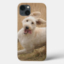 Search for breeds ipad cases Animal