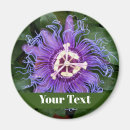 Search for id magnets Purple