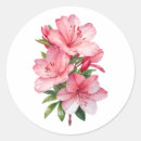 Search for azalea stickers Botanical