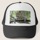 Search for leopards hats Halloween