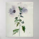 Search for 18th century posters Albert