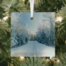 Search for frozen christmas tree decorations Land