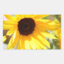 Search for painted sunflower stickers Nature