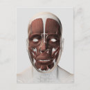 Search for facials postcards Front view