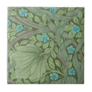 Search for arts and crafts movement tiles English