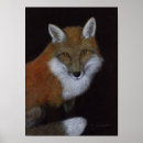 Search for vixen posters Wildlife