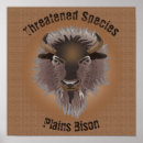 Search for plain posters Animal