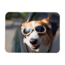 Search for dog car magnets Puppy