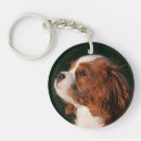 Search for spaniel puppy key rings Puppies