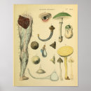 Search for medical art Vintage