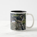 Search for bhutan mugs Su