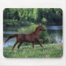 Search for thoroughbreds mousepads Equestrian