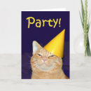 Search for cat lover invitations Party