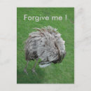 Search for no excuses postcards Apology