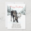 Search for wintertime cards Nature