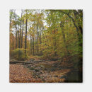 Search for creek fall magnets Nature