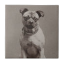 Search for dog tiles Pug