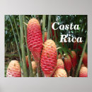 Search for costa rica travel posters Vacation