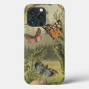 Search for insect cases Unique