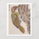 Search for vintage bird illustration postcards Wildlife