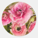 Search for sticker cards Flowers