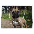 Search for french gift bags Pet