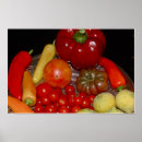 Search for bounty art Still life