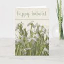 Search for imbolc cards Snowdrops