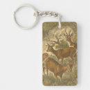 Search for deer key rings Nature