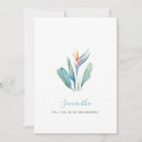 Search for destination wedding bridesmaid cards Tropical