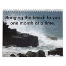 Search for seagull calendars Photography
