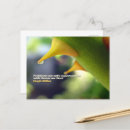 Search for problems postcards Inspirational