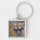 Search for roaring key rings Strength