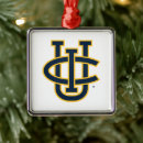 Search for anteater christmas tree decorations College