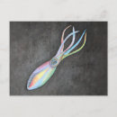 Search for cephalopod postcards Colourful